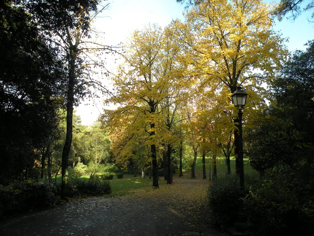 Parco di Villa Strozzi al Boschetto, Florens