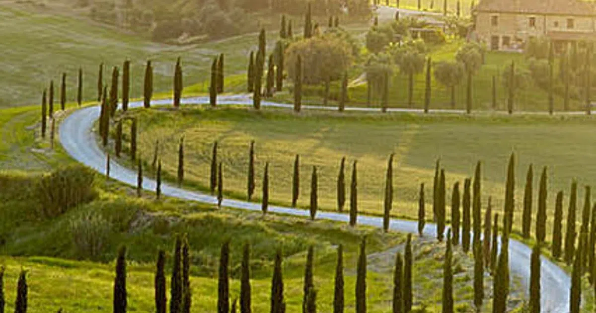 Transfeero, Firenze